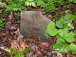 unmarkedheadstone